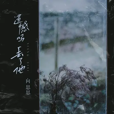 遗憾吗丢了他封面