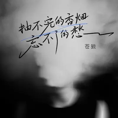 抽不完的香烟忘不了的愁封面