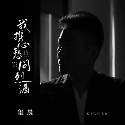 我携心愁问烈酒(DJ京仔版)封面