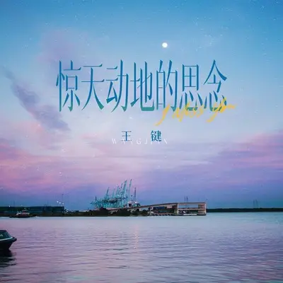 惊天动地的思念封面