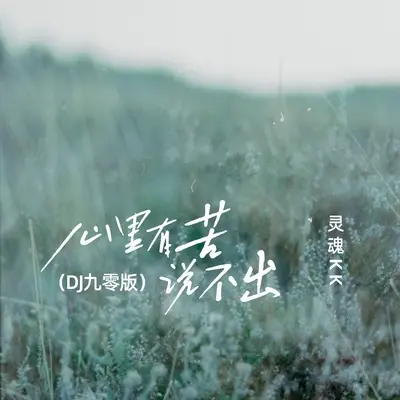 心里有苦说不出 (DJ九零版) - 灵魂KK封面