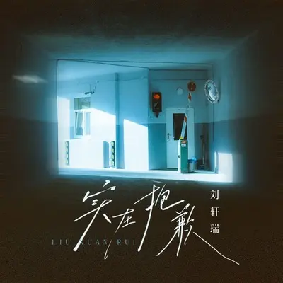 实在抱歉(DJ九零版)封面