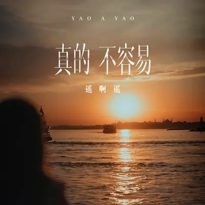 真的不容易 (河北夹子版)封面