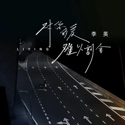 对你的爱难以割舍(DJ九零版) - 李英封面