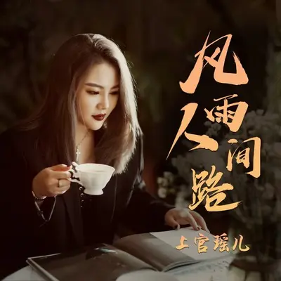 风雨人间路 (DJ九零版)封面