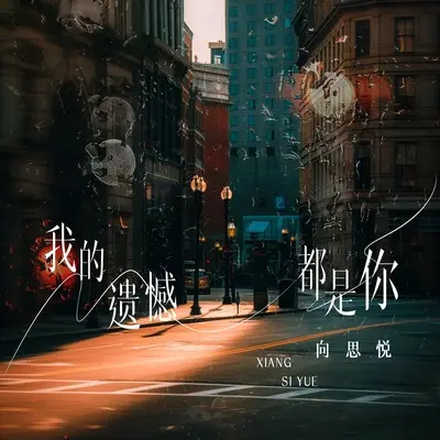 我的遗憾都是你封面