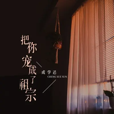 把你宠成了祖宗 (DJ九零版)封面