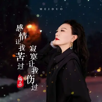 感情让我苦过寂寞让我伤过(Live合唱版)封面