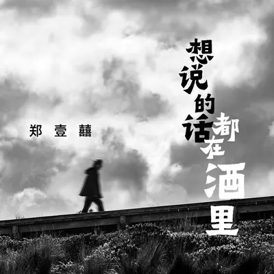 想说的话都在酒里(DJ默涵版)封面