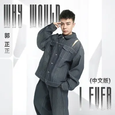 Why Would I Ever (中文DJ默涵版)封面