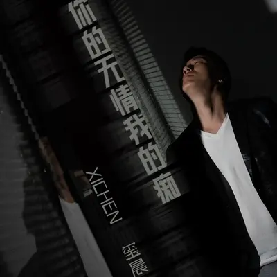 你的无情我的痴 (DJ九零版)封面
