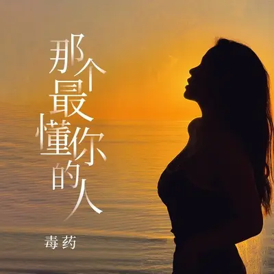 那个最懂你的人封面