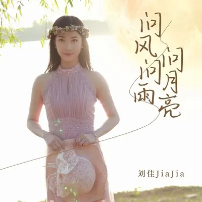 问风问雨问月亮封面