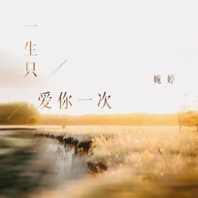 一生只爱你一次封面