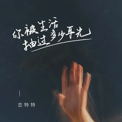 你被生活抽过多少耳光封面