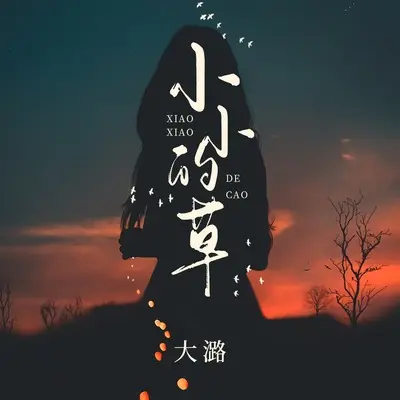 小小的草封面
