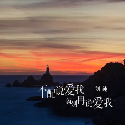 不配说爱我就别再说爱我封面