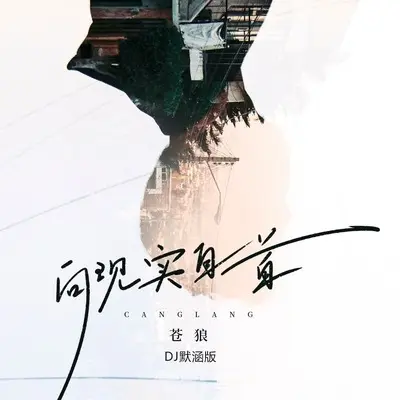 向现实自首 (DJ默涵版)封面