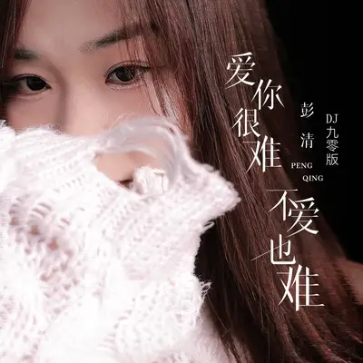爱你很难不爱也难 (DJ九零版)封面
