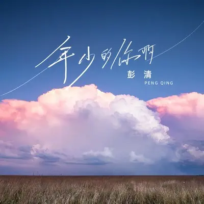 年少的你啊 (DJ九零版)封面