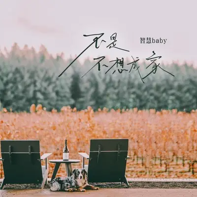 不是不想成家封面