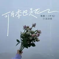 可月季也是花 (DJ沈念版)