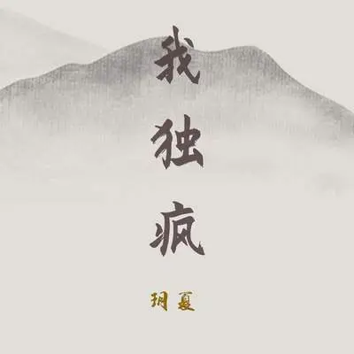 我独疯 (EDM版)封面