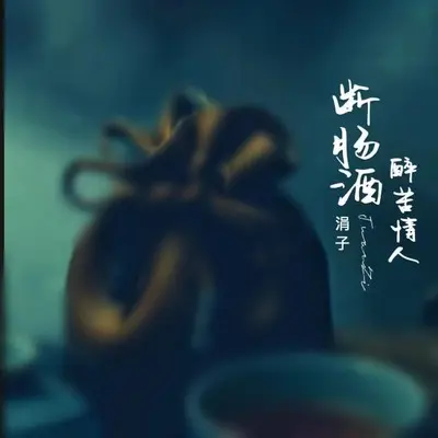 断肠酒醉苦情人封面