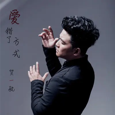 爱错了方式(0.8X版) - 贺一航封面