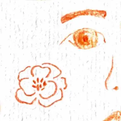 花、伤痕与泥土 Flower, Scars and Soil（Inst.）封面