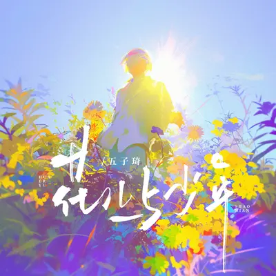 花儿与少年封面