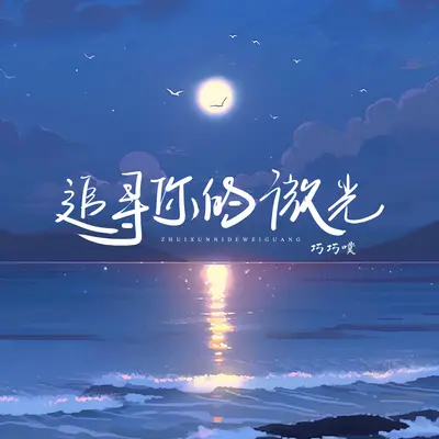 追寻你的微光封面