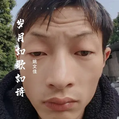 岁月如歌如诗封面