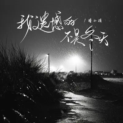 我遗憾的不是冬天封面