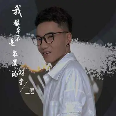 我根本不是寂寞的对手封面