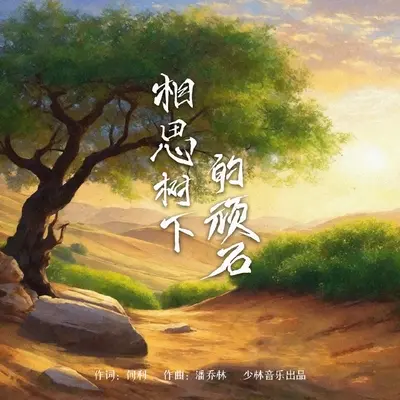 相思树下的顽石封面