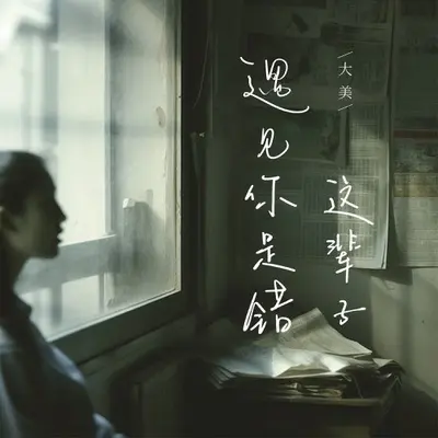 这辈子遇见你是错封面