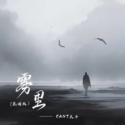 雾里(氛围版)封面