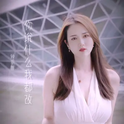 你说什么我都改封面