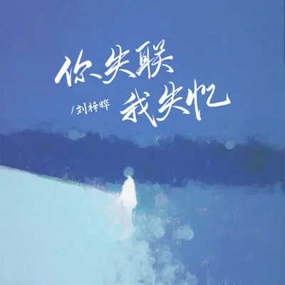 你失联我失忆封面