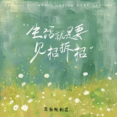 生活就是要见招拆招封面