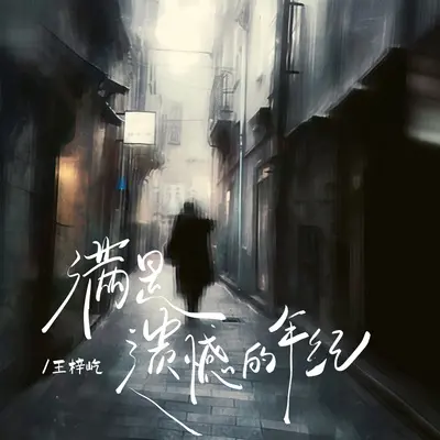 满是遗憾的年纪封面