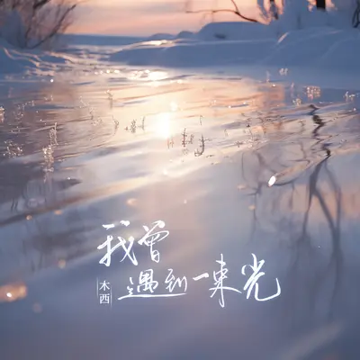我曾遇到一束光封面