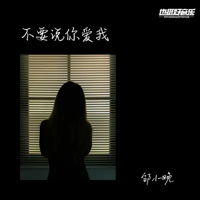 不要说你爱我封面