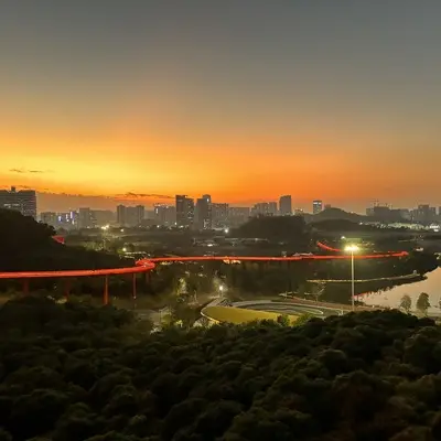 追逐梦想封面