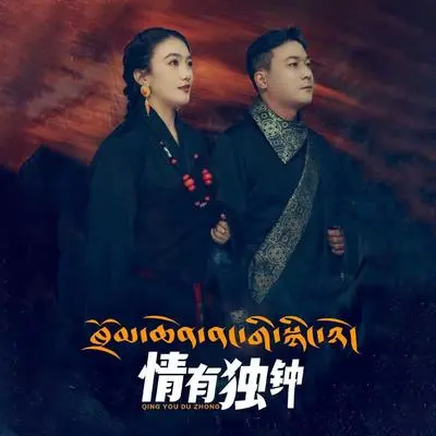 情有独钟封面