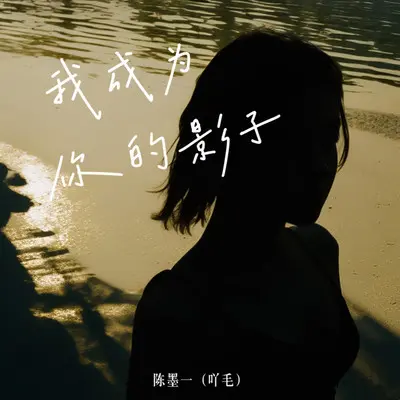 我成为你的影子封面