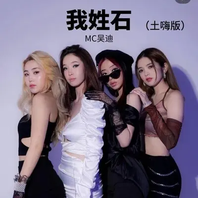 我姓石(土嗨版)封面