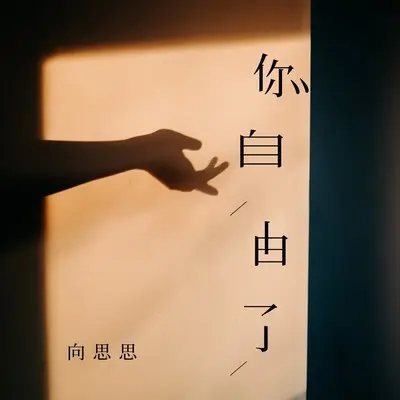 你自由了(DJ九零版)封面