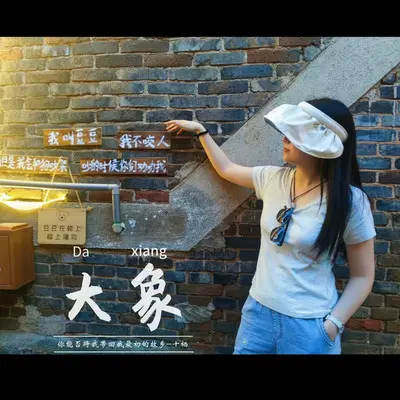 大象封面